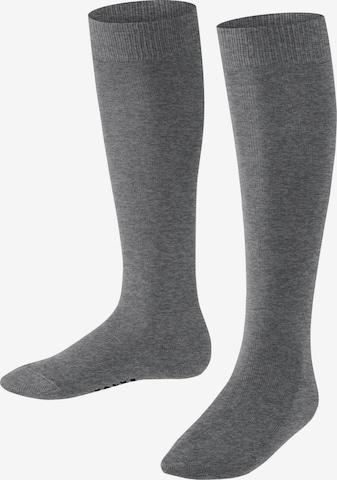 FALKE Socks 'Family' in Grey: front