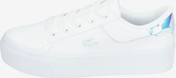 Sneaker bassa di LACOSTE in bianco