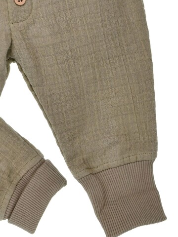 BONDI Regular Hose‌ in Grün