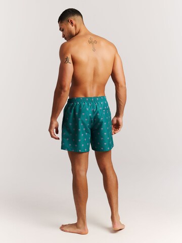 PROTEST Board Shorts 'PRTMascot' in Green