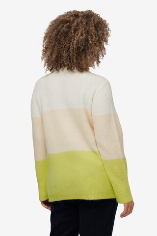 Ulla Popken Sweater in Mixed colors