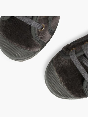 Pisamonas Sneakers in Grey