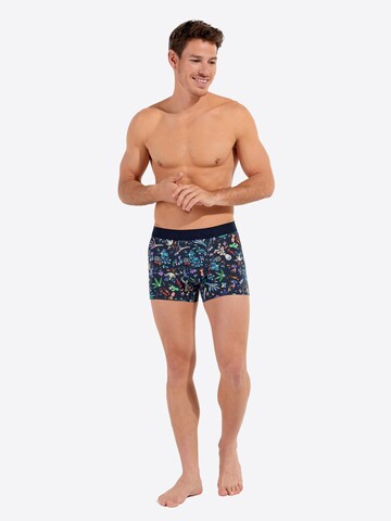 Boxers ' Cactée ' HOM en mélange de couleurs