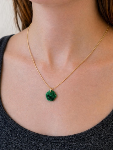Fräulein Wunder - Colar 'Acetat Alice Gold' em verde: frente