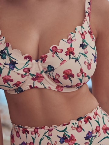 B by Ted Baker Klassiek Bikinitop in Beige