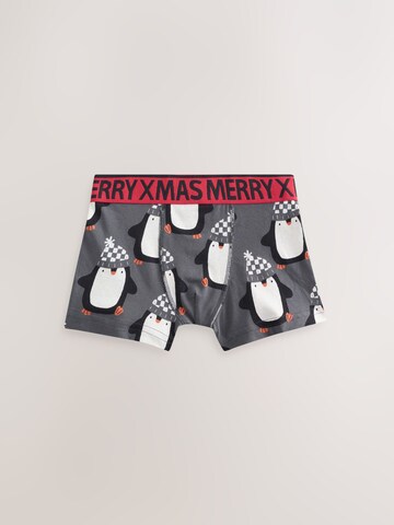 Next Underpants in Mixed colours