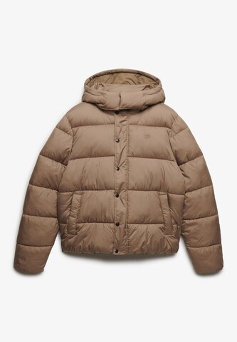 Superdry & Co Winter Jacket 'Premium' in Beige