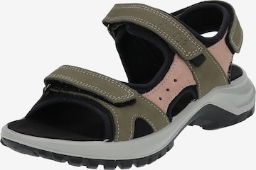 IMAC Sandals in Green: front