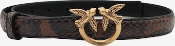 Cintura di PINKO in marrone: frontale
