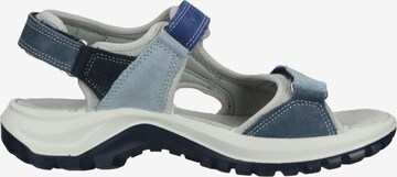 IMAC Hiking Sandals in Blue