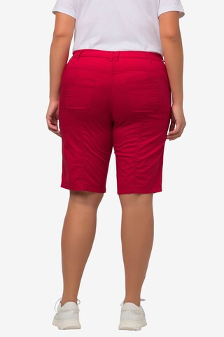 Ulla Popken Regular Hose in Rot