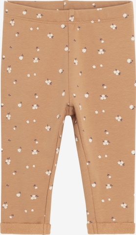 ruda Cool Club Siauras Tamprės: priekis