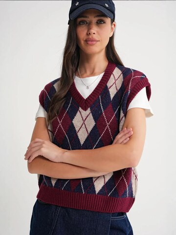 Pullover di MixRay in rosso: frontale