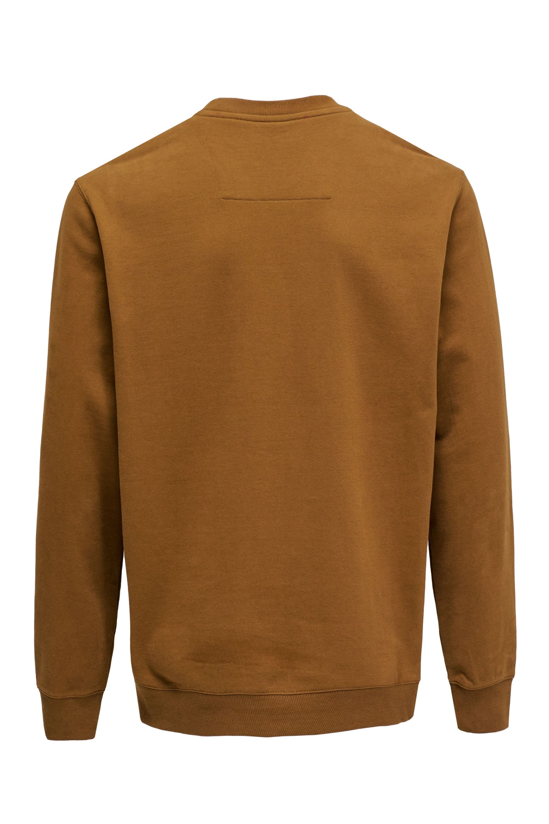 Pull-over Salsa Jeans en marron