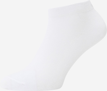 Chaussettes Lindex en blanc : devant