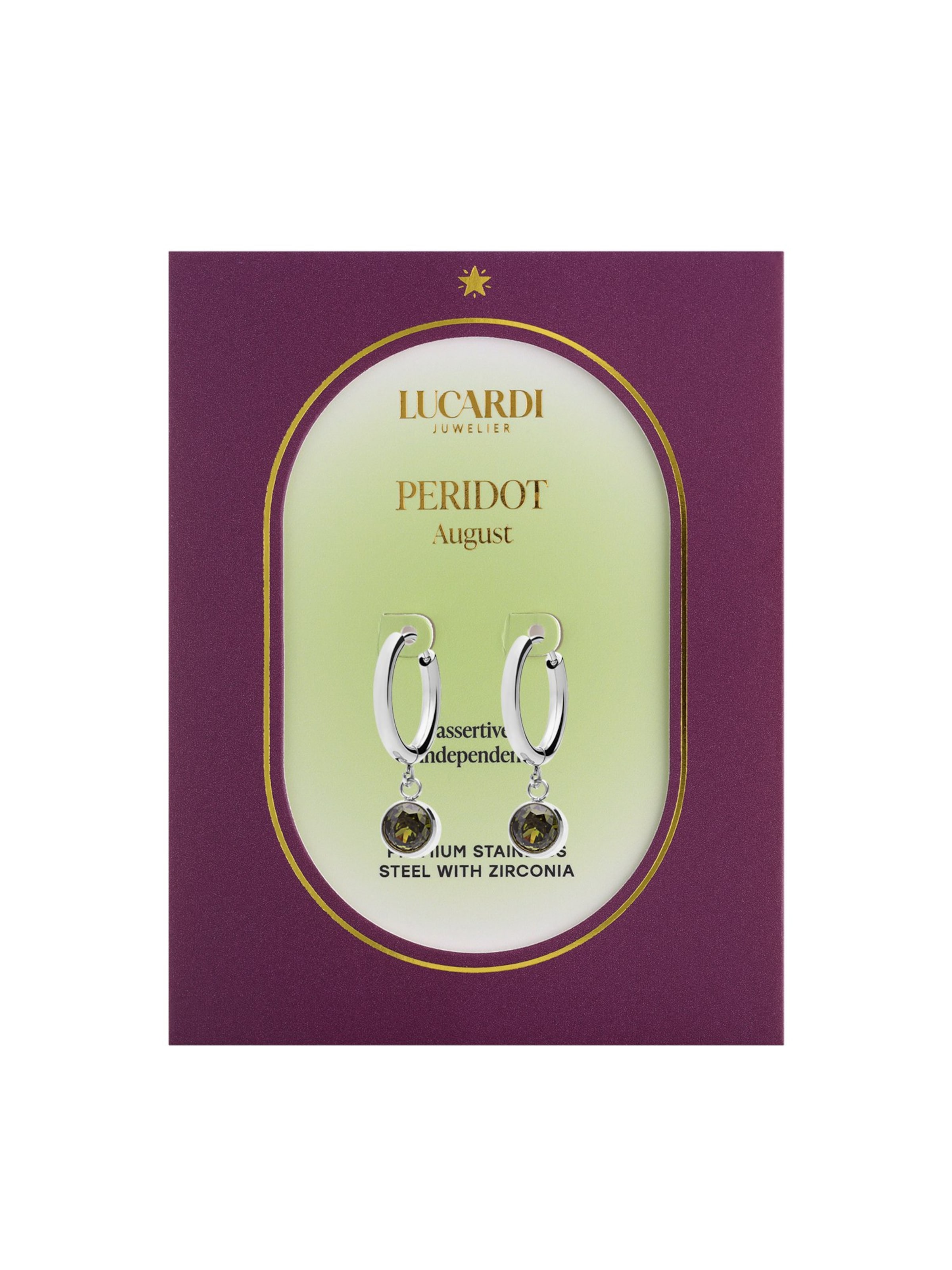 Lucardi Earrings in Silver