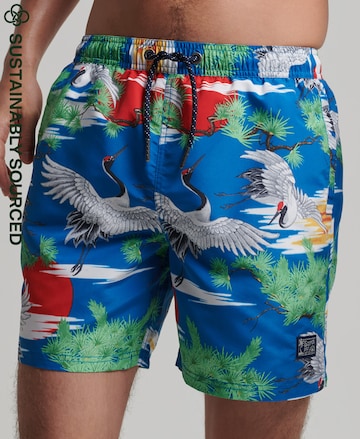 Superdry Board Shorts in Blue: front