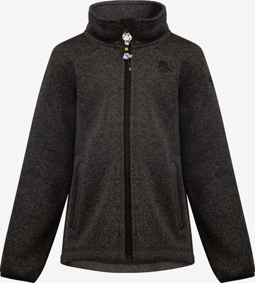 Schmuddelwedda Fleece jacket in Grey: front