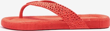 Brasileras - Sandalias de dedo 'Flopee' en rojo: frente