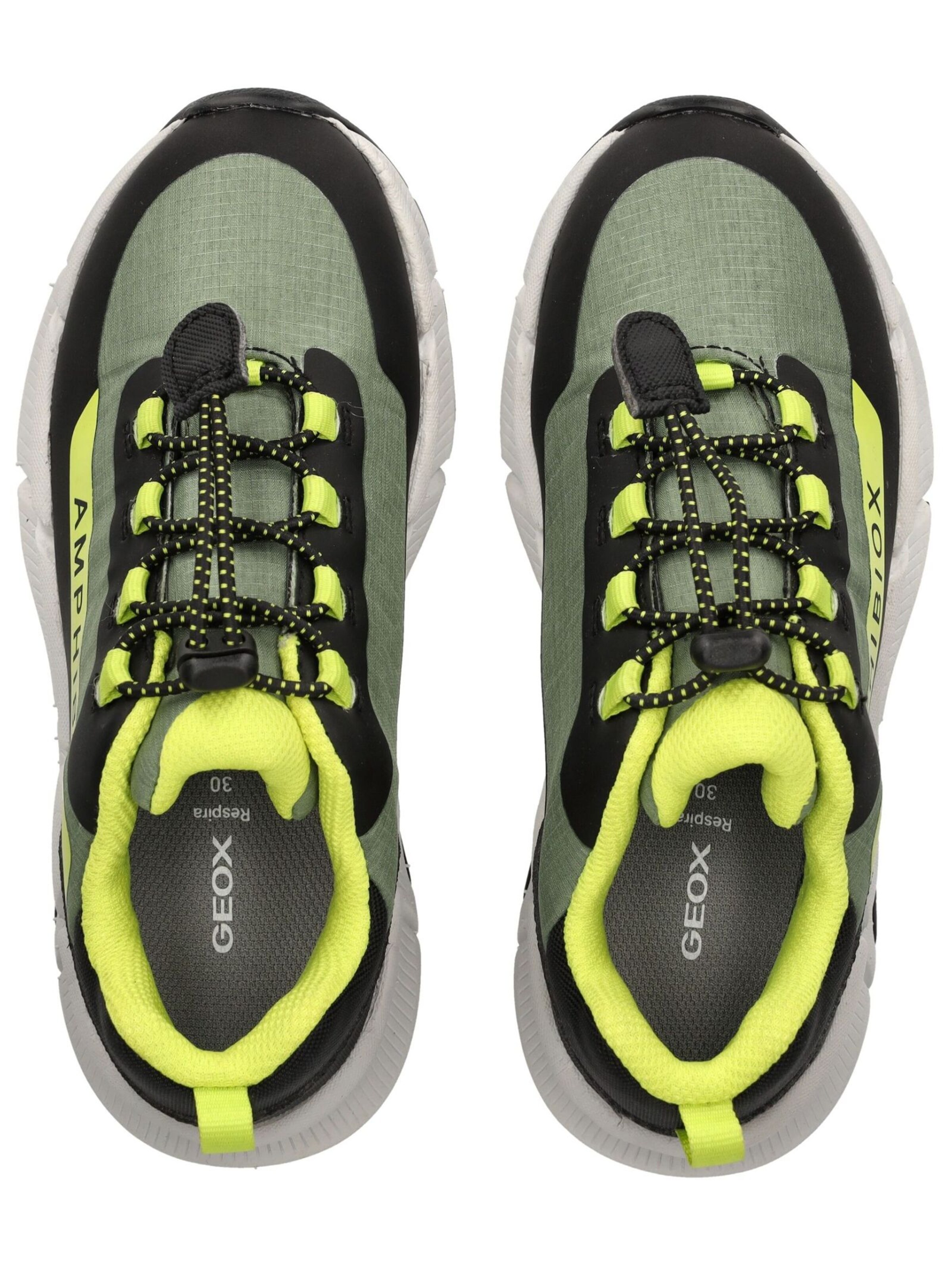 Sneaker di GEOX in verde