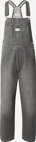 LEVI'S ® Snekkerjeans 'Vintage Overall' i grå: forside