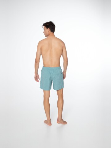 PROTEST Board Shorts 'Davey' in Green