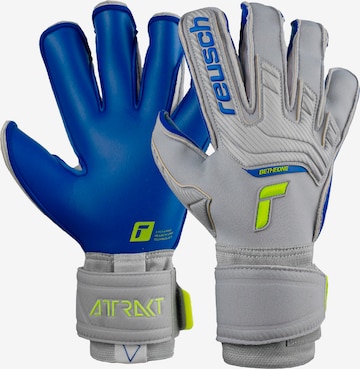 REUSCH Athletic Gloves 'Attrakt Gold X Evolution Cut' in Grey: front