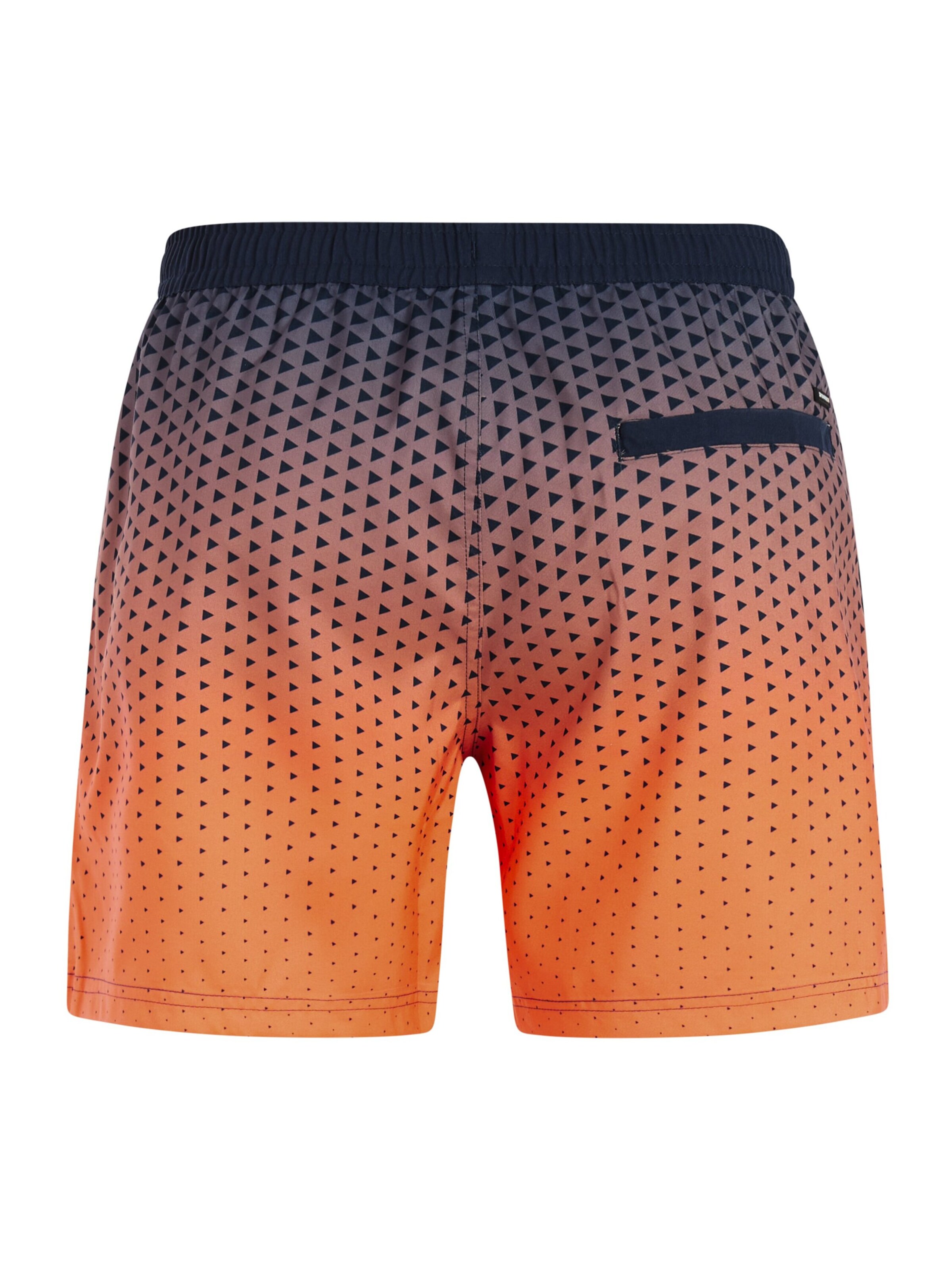 PROTEST Board Shorts 'PRTNorthaw' in Purple