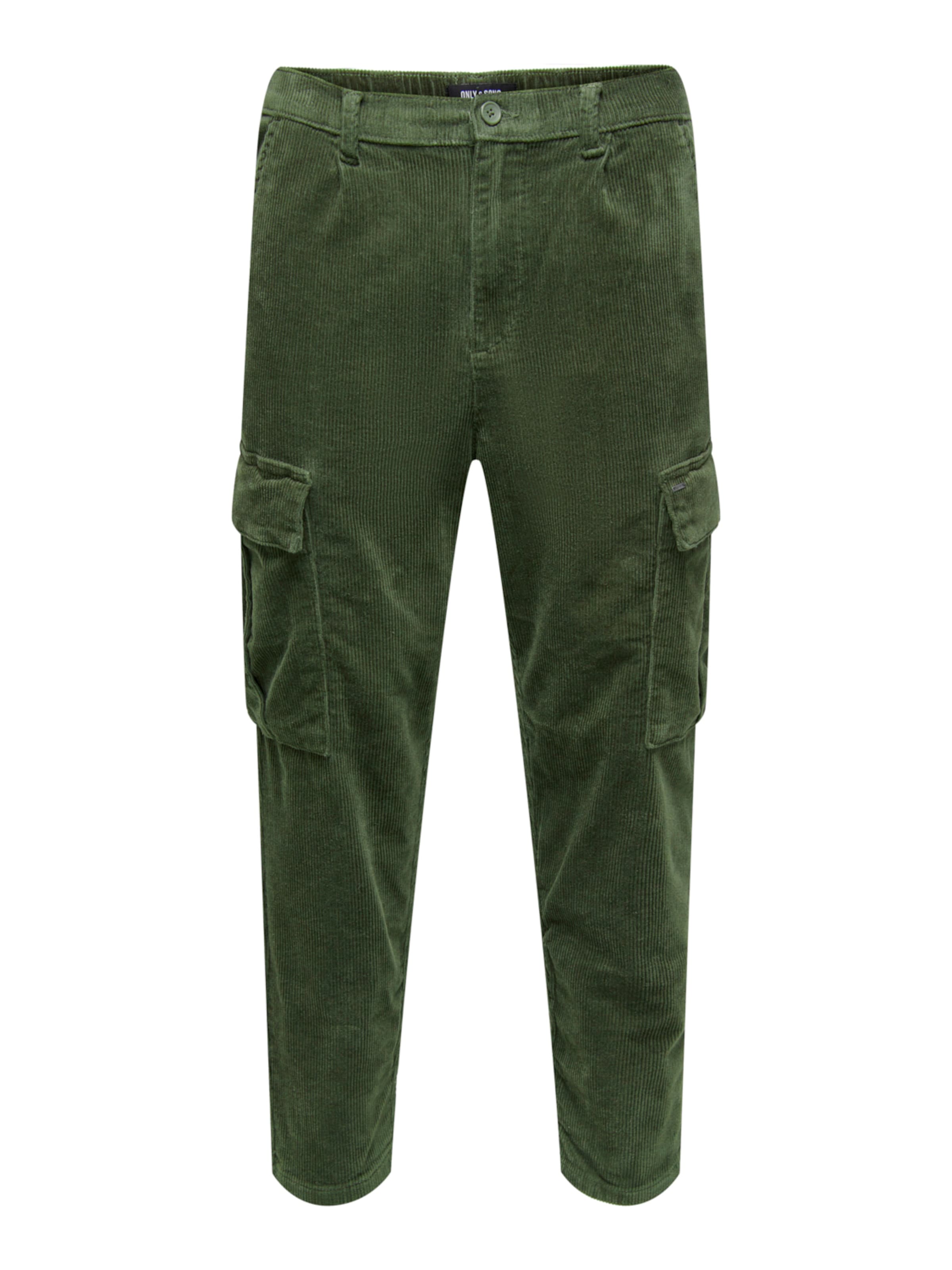 Regular Pantalon cargo 'Dew' Only & Sons en vert : devant