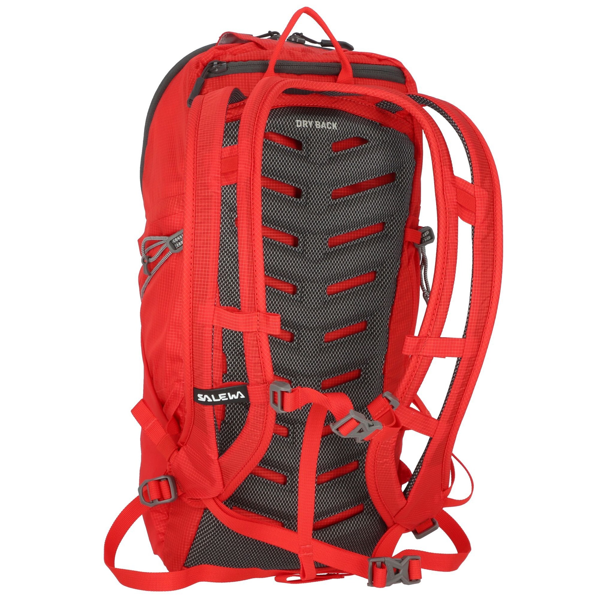 SALEWA Rucksack 'Ultra Train' in Rot
