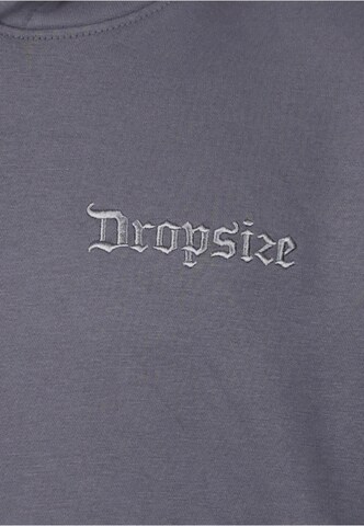 Felpa di Dropsize in grigio