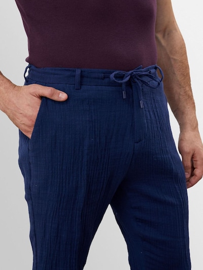 Antioch Trousers in Blue / Navy, Item view