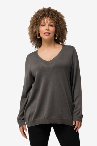 Ulla Popken Pullover in Grau: predná strana