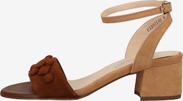 PETER KAISER Strap Sandals in Brown: front