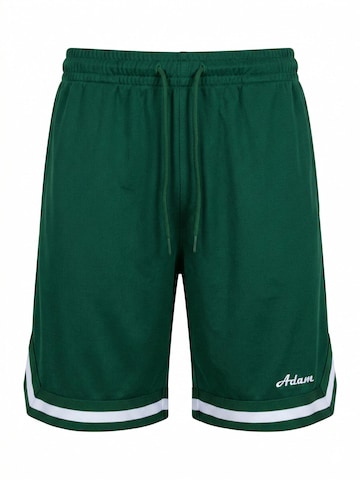 Adam Loose fit Workout Pants 'Sweatshorts Basketball Shorts' in Green: front