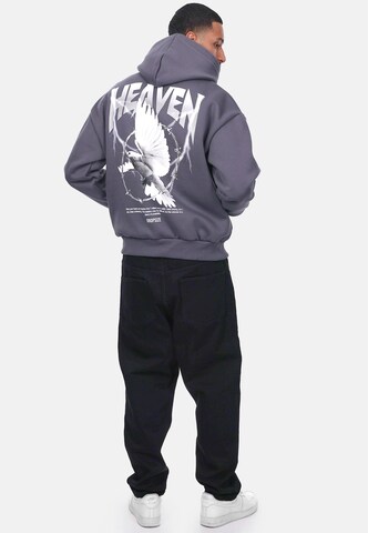 Dropsize Sweatshirt 'Wire Dove' in Grey