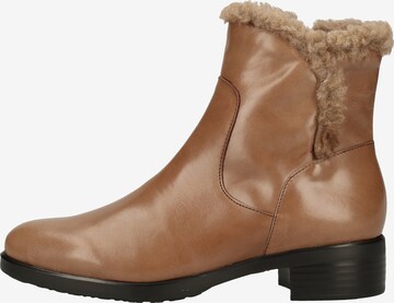 Boots Wonders en marron