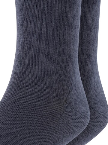 ESPRIT Socks 'Foot Logo 2-Pack' in Blue