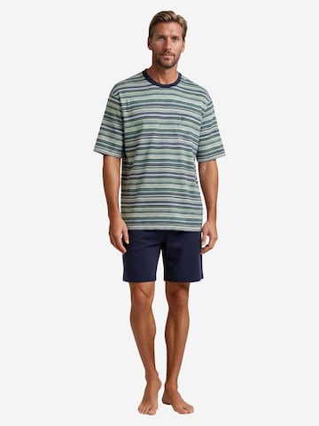 HAJO Pyjama kort 'Premium Cotton' in Groen
