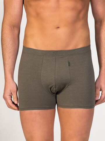 zd ZERO DEFECTS Boxershorts 'Apolo Soya Trunk' in Grün: Vorderseite