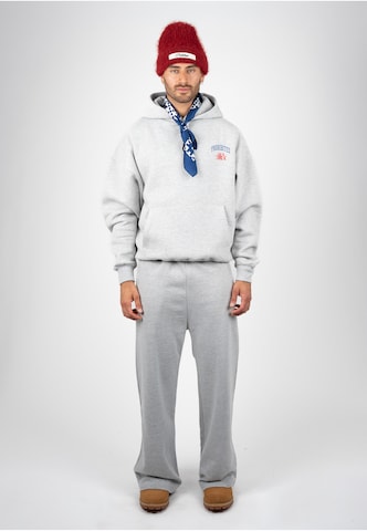 Prohibited Wide leg Pants 'Campus' in Grey