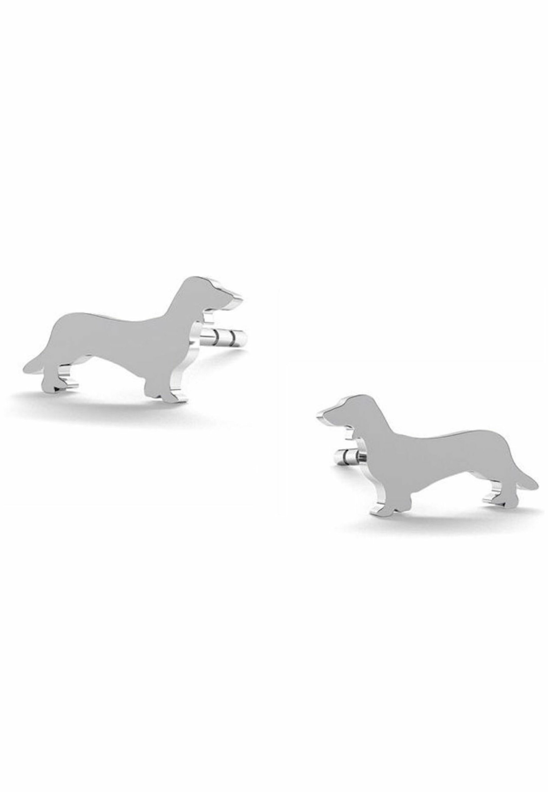 Gemshine Earrings in Silver