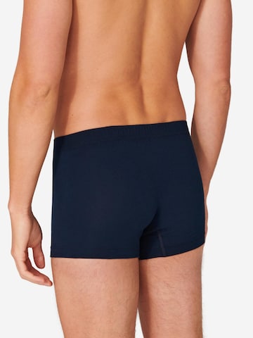 SCHIESSER Boxer shorts '95/5 Essentials - Cotton' in Blue
