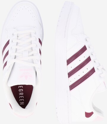 ADIDAS ORIGINALS Sneakers low i hvit