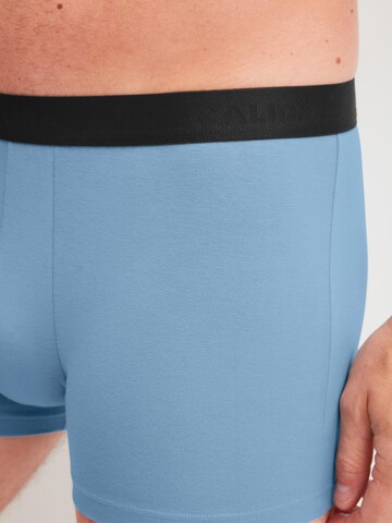 CALIDA Boxer shorts 'Daywear Xtra' in Blue