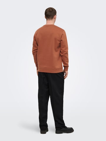 Only & Sons Свитшот 'ONSConnor' в Коричневый