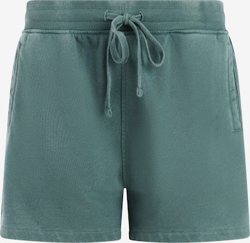 PROTEST Trousers 'PRTOrby' in Green: front