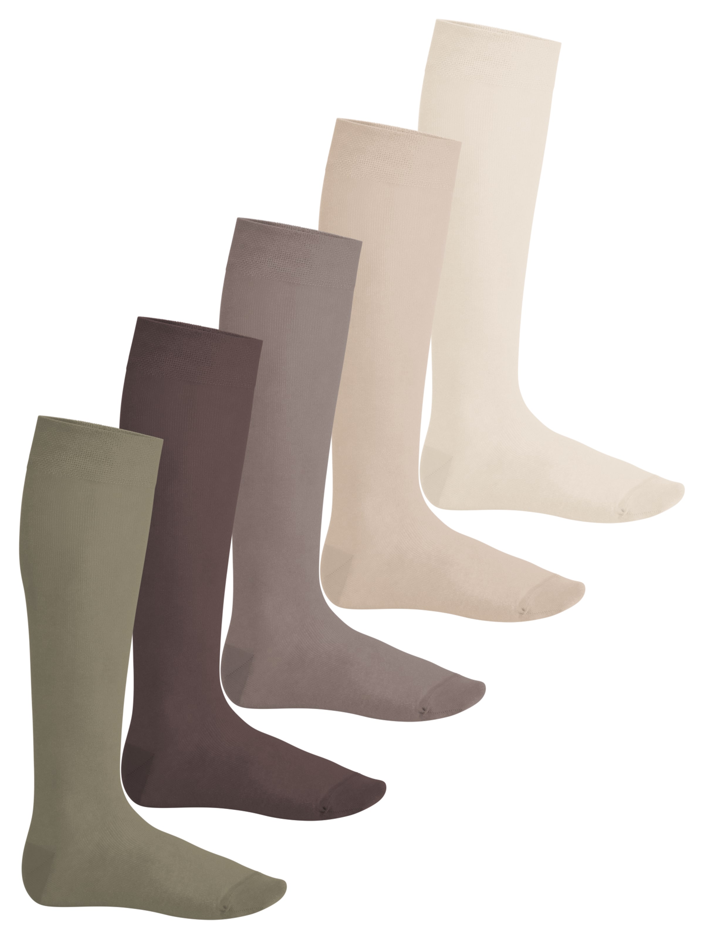footstar Kniestrümpfe 'EVERYDAY!'‌‌‌‌‌‌‌‌‌‌ in Beige: Vorderseite