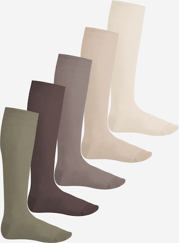 footstar Kniestrümpfe 'EVERYDAY!' in Beige: Vorderseite