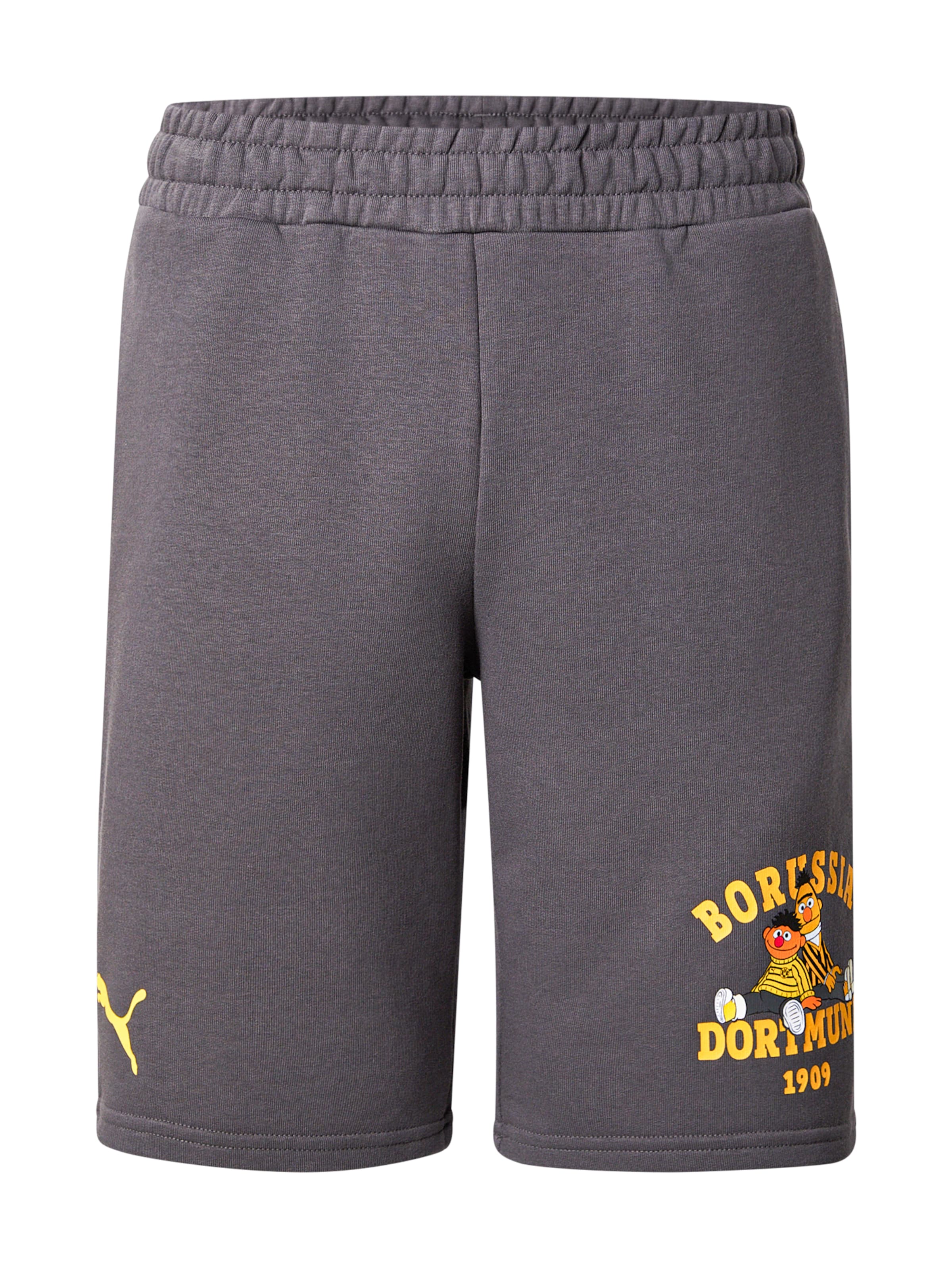 PUMA Normální Sportovní kalhoty 'BVB x Sesame Street' – šedá: přední strana
